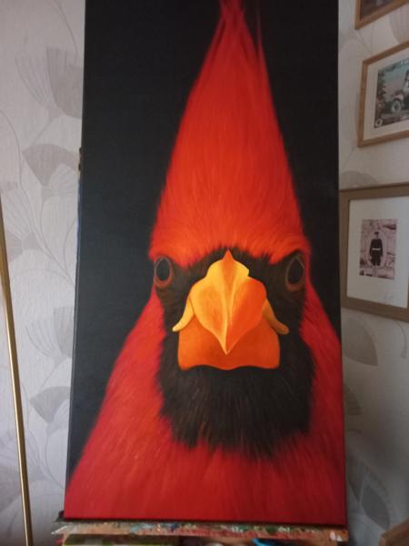 Kardynal szkarlatny-obraz malowany farbami akrylowymi, wykończony satynowym werniksem, Krosno bawełniane, Rozm 50 x100, Rok 2024